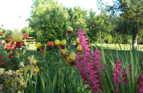 Saint-Paul Bed & Breakfast | Chambres d'hôtes les Denias