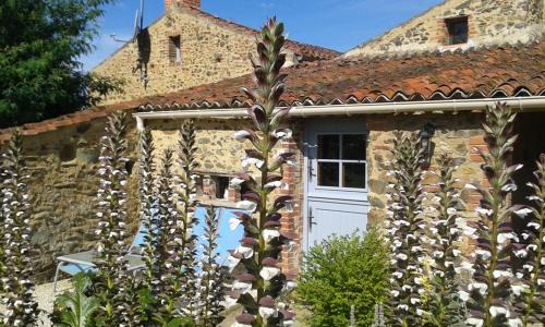 Saint-Prouant Bed & Breakfast | Chambres d'hôtes les Hautes Papinières