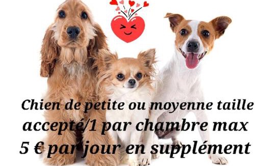 Sangatte Bed & Breakfast | Chambres d'Hôtes "Les Pins"