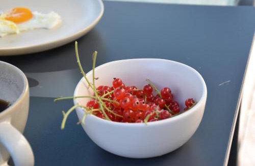 Nouzilly Bed & Breakfast | Chambres d'hôtes PANCHIEN