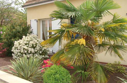 Ruaudin House | Chambres d'hôtes Sébastien