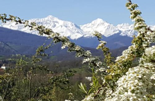 Saint-Lizier Bed & Breakfast | Chambres d'hôtes St Jacques Adults only