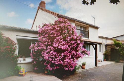 Oree d'Anjou Bed & Breakfast | Chambres d'Hôtes Vignes et Loire