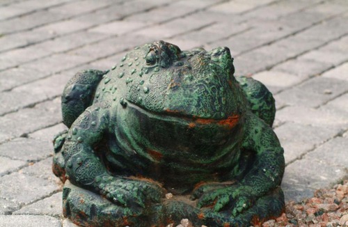 Saint-Honore-les-Bains Bed & Breakfast | Chambres d'Hôtes Castel Des Cèdres