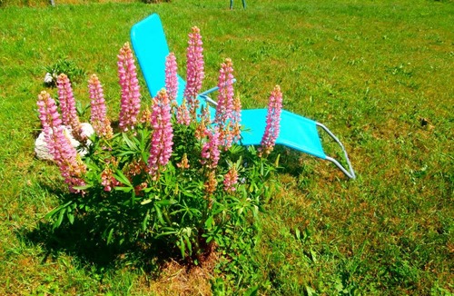 Usclades-et-Rieutord Bed & Breakfast | Chambres d'Hôtes à Rieutord