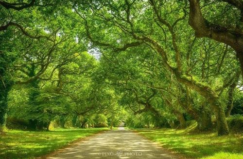 Breles Bed & Breakfast | Chambres d'hotes Chez Annie