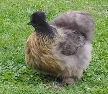 Vouvray-sur-Loir Bed & Breakfast | Chambres d'hotes du Port Gautier