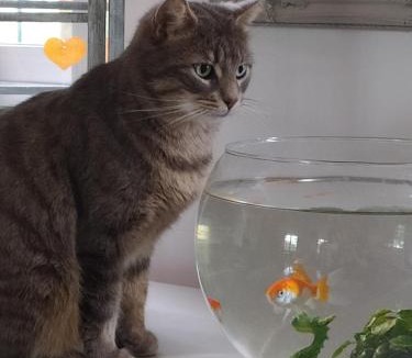 Vouvray-sur-Loir Bed & Breakfast | Chambres d'hotes du Port Gautier