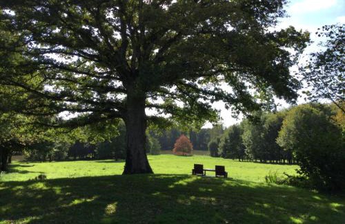 Noyal-Sous-Bazouges Bed & Breakfast | Chambres d'Hotes Le Quartier