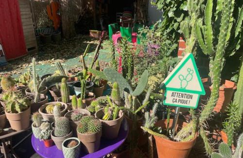 Douai House | Chambres dans maison de centre ville