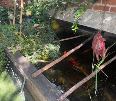 Douai House | Chambres dans maison de centre ville