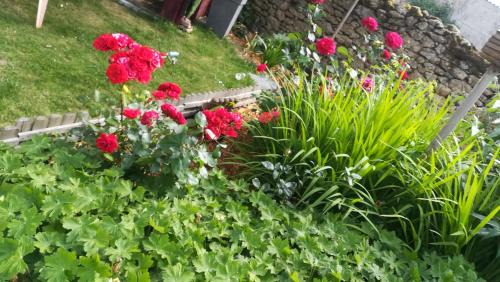 Faye-d'Anjou Bed & Breakfast | Chambres des Noels