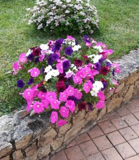 Faye-d'Anjou Bed & Breakfast | Chambres des Noels