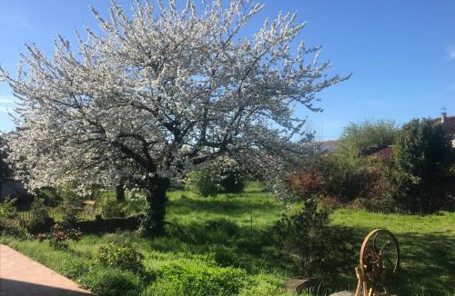 Arthes Bed & Breakfast | Chambres et table d'hôtes Le Pontet