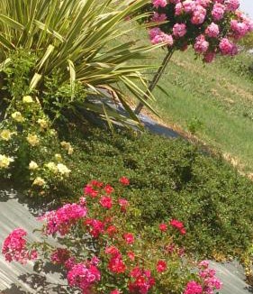Senouillac Bed & Breakfast | Chambres et Tables d'Hotes "Au pres de ma Blonde"