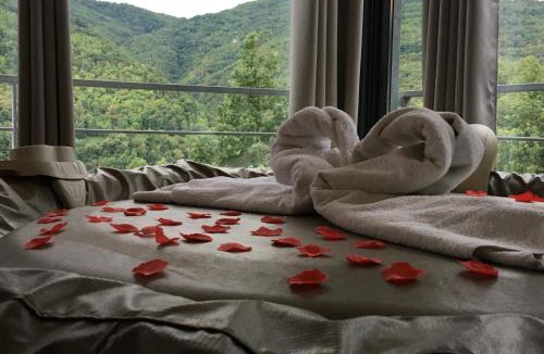 Prats-de-Mollo-la-Preste Bed & Breakfast | Chambres d'hôtes Mas La Tardosse