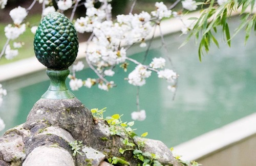 Saint-Hippolyte-du-Fort Bed & Breakfast | Chambres d'hôtes Les Trois Comtes