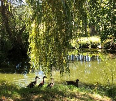 Saint-Just-Saint-Rambert Bed & Breakfast | Chambres D'hotes De La Mure