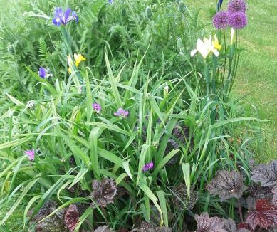 Beaumont-Pied-de-Boeuf Bed & Breakfast | Chambres La Guéjaillière