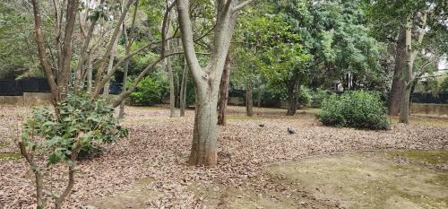 Celleneuve House | Chambres proche centre ville