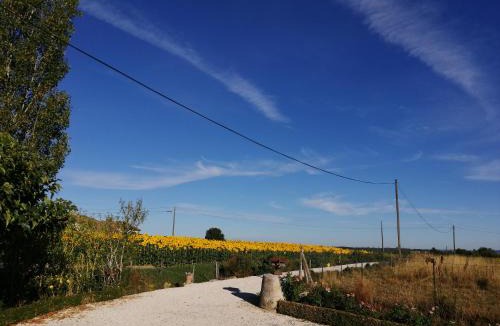 Dunes Bed & Breakfast | Chambres Rozies Dunes