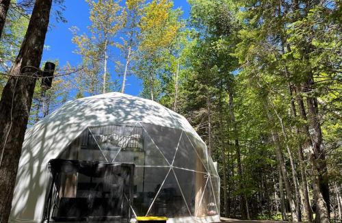 Chamcook Ski Chalet | Chamcook B Dome