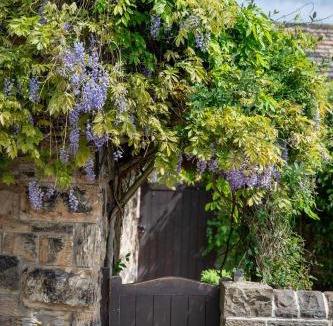 Cawthorne House | Chantry House