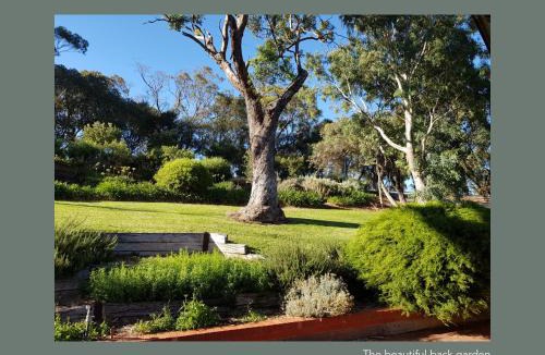 McLaren Vale Apartment | Chapel Hill Winery Guest House