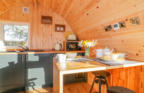 Morwellham Cottage | Chapel Pod