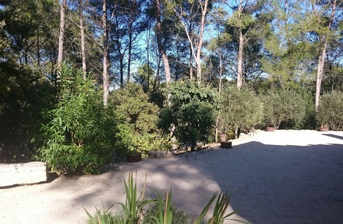 Saint-Clement-de-Riviere House | Character property in magnificent 1ha park, 5km from the city center