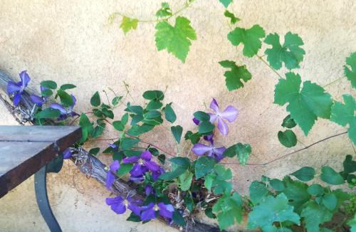 Verneuil-sur-Avre House | Charmant cocon, jardin, aux portes de Verneuil