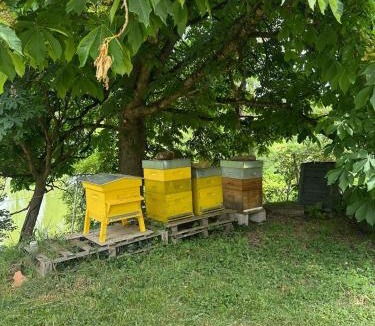 Puygouzon Apartment | Charmant appartement à la ferme