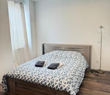 Roanne Apartment | Charmant appartement à Roanne