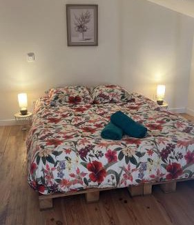Castres Apartment | Charmant appartement centre ville de Castres
