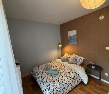 Quartier Pasteur Apartment | Charmant appartement Centre Ville
