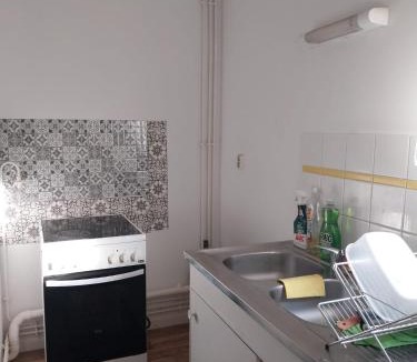 Lille-Moulins Apartment | Charmant appartement T2 parc JB Lebas