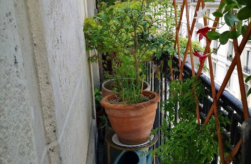 Quartier de la Goutte-d'Or Apartment | Charmant Appartement vue Sacré Coeur à 10 min de la Gare du Nord