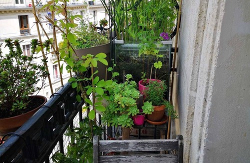 Quartier de la Goutte-d'Or Apartment | Charmant Appartement vue Sacré Coeur à 10 min de la Gare du Nord