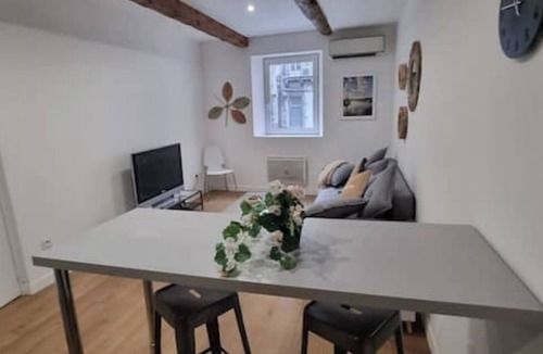 Les Borels Apartment | Charmant Duplex a la Préfecture