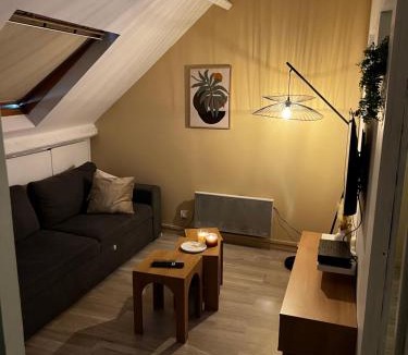 Henin-Beaumont Apartment | Charmant Duplex Cosy FACE GARE - Tout Confort