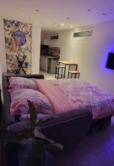 Saint-Hilaire-du-Rosier Apartment | charmant studio