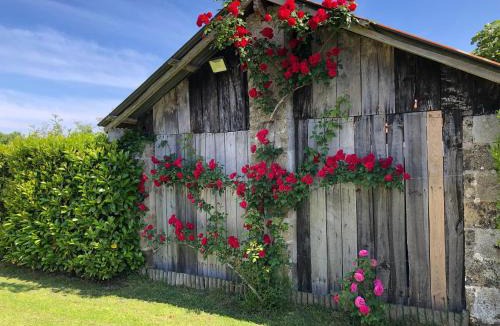 Commequiers House | Charmant gîte 2 pers avec terrasse privative et proche Vélo Rail - FR-1-426-466