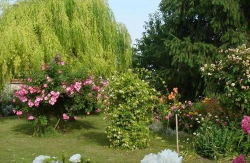 Pithiviers-le-Vieil House | Charmant Gîte au Calme près de Pithiviers avec Jardin et Terrasse - FR-1-590-133