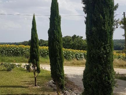 Gazaupouy Apartment | charmant logement à la campagne