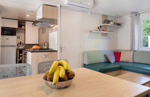 Aureilhan House | Charmant Mobil Home climatisé