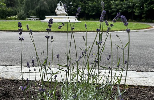 Groffliers Apartment | Charmant Studio, à 1km de la Baie D'authie