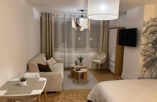 Dunkerque Centre Apartment | Charmant studio au cœur de ville