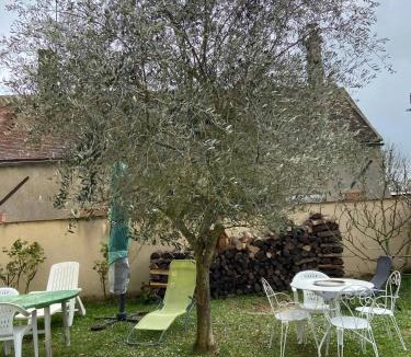 Chenou Apartment | Charmant studio avec terrasse à Chenou, 20 m²