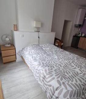 Bourgueil Apartment | Charmant studio centre de Bourgueil