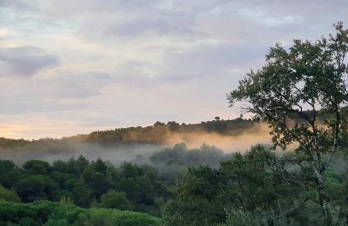 Carcassonne Apartment | Charmant Studio proche Lac et Forêt